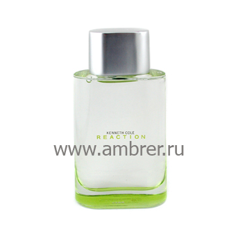 Kenneth Cole Reaction men