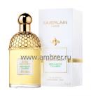 Guerlain Aqua Allegoria Bergamote Calabria