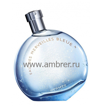 Hermes Eau des Merveilles Bleue