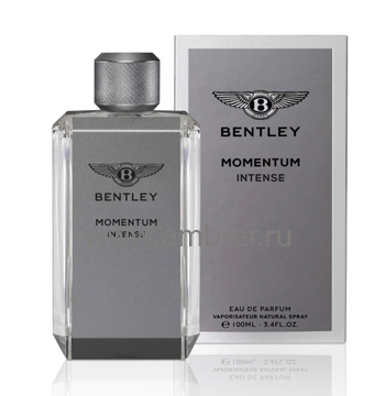 Bentley Momentum Intense