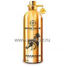 Montale Montale Arabians
