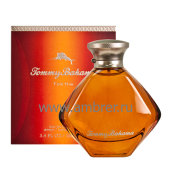 Tommy Bahama Cognac