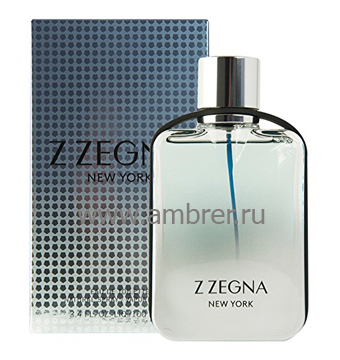 Z Zegna New York