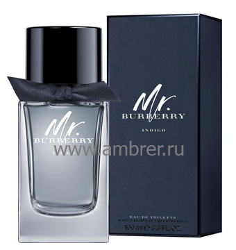 Mr. Burberry Indigo