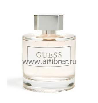 Guess Guess 1981