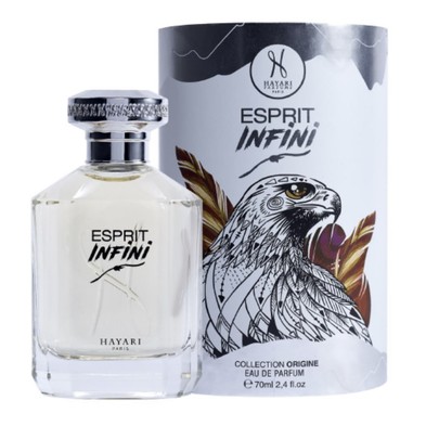 Esprit Infini