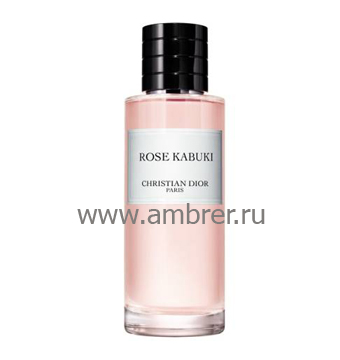 Christian Dior Rose Kabuki