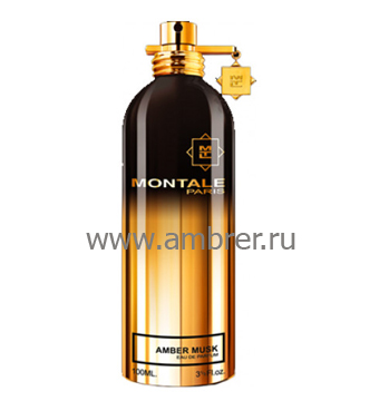 Montale Montale Amber Musk