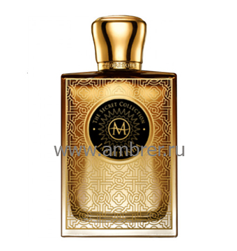 Moresque Jasminisha