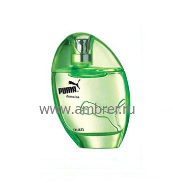 Puma Jamaica 2 men