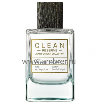 Clean Clean White Amber & Warm Cotton