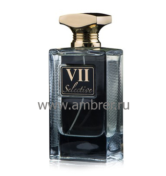 Attar Collection Selective VII