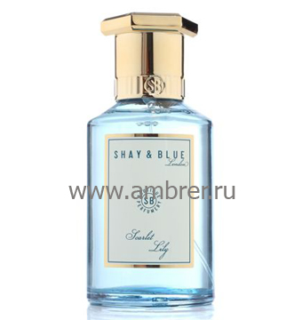 Shay & Blue London Scarlet Lily