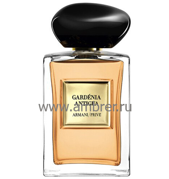 Armani Prive Gardenia Antigua