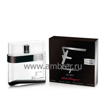 Salvatore Ferragamo F by Ferragamo Black