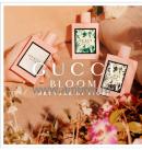 Gucci Gucci Bloom �����