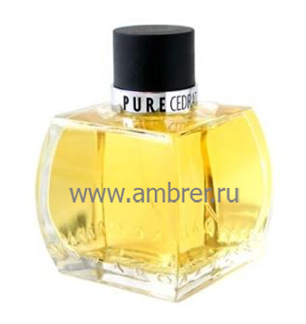 Azzaro Pure Cedrat