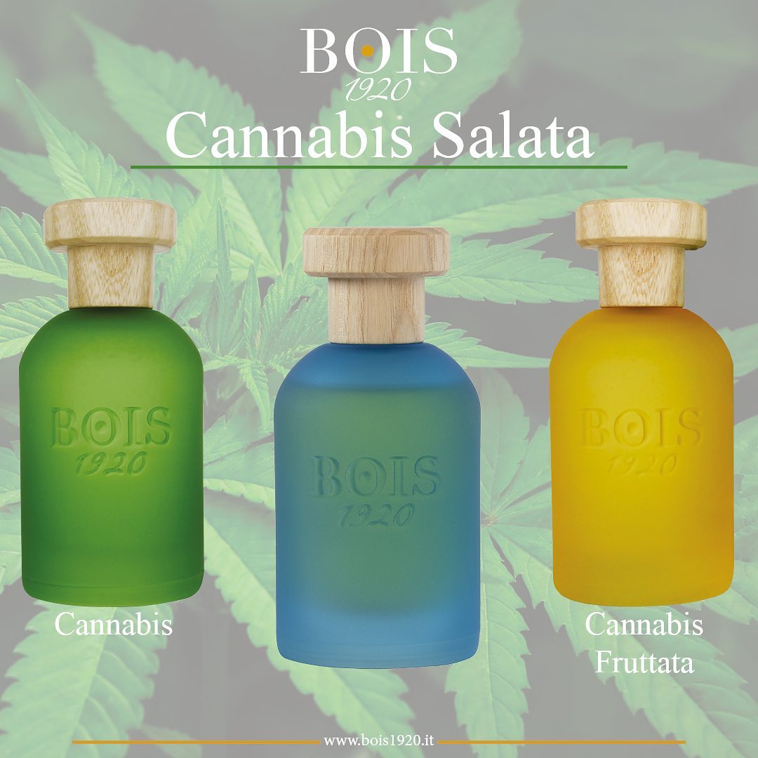 Bois 1920 Cannabis Salata