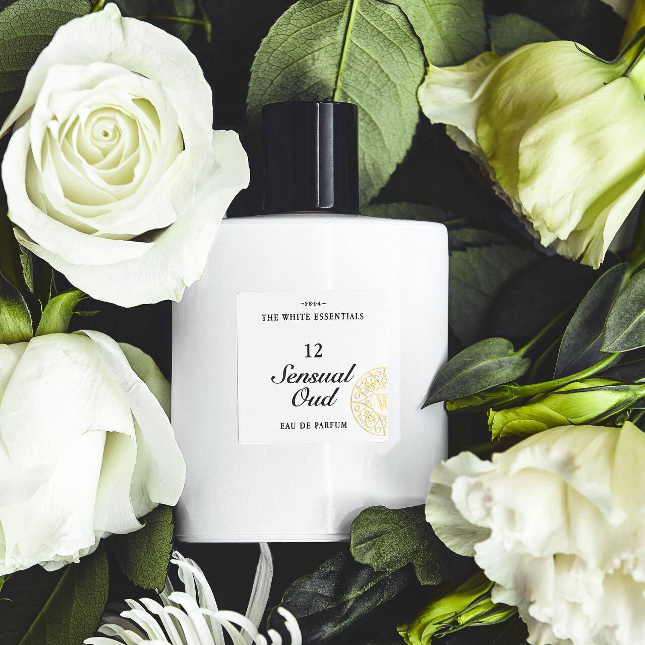 12 Sensual Oud