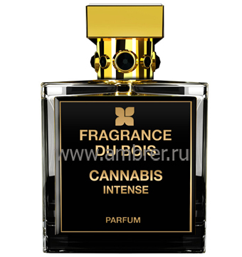 Cannabis Intense