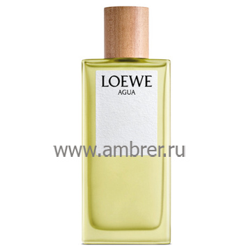 Loewe Agua