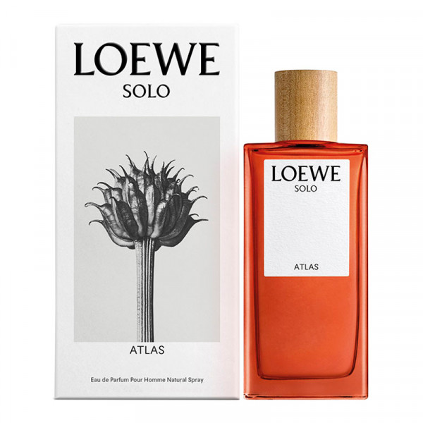 Loewe Solo Atlas