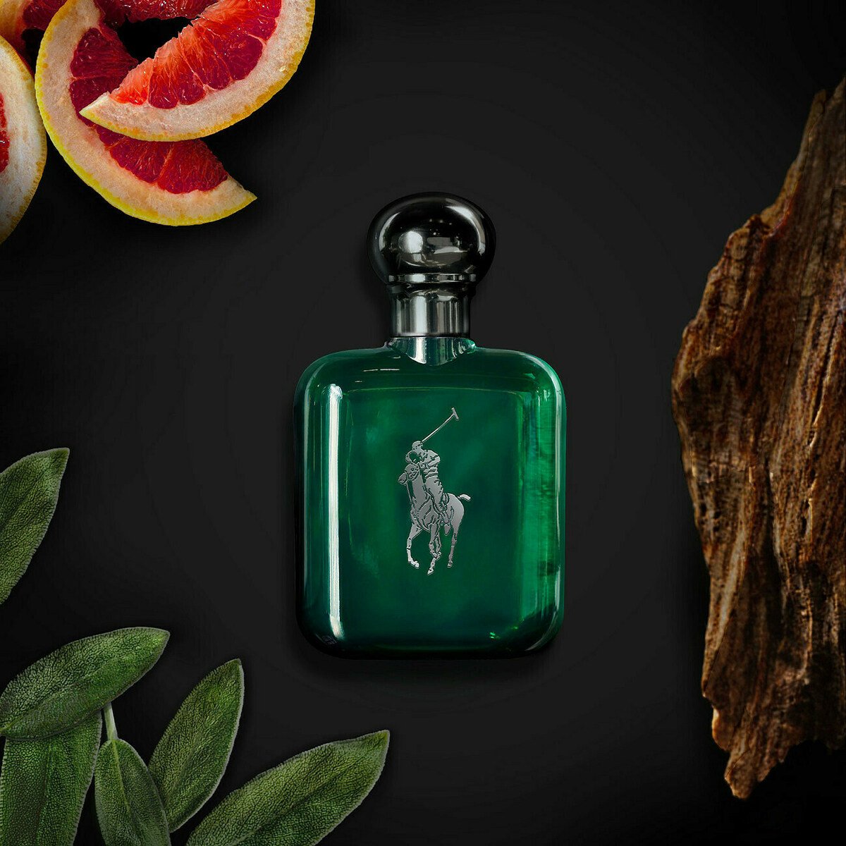 Polo Cologne Intense