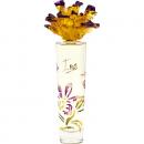 Syed Junaid Alam Iris