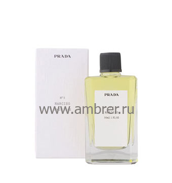 Prada 5 Narciso