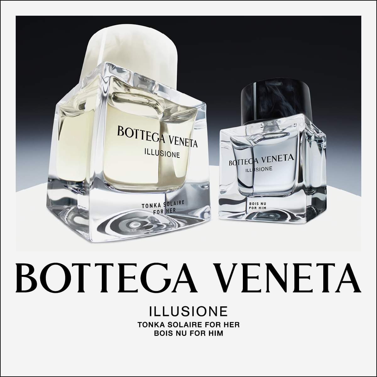 Bottega Veneta Illusione Tonka Solaire