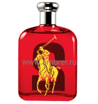 Ralph Lauren The Bic Pony Collection 2