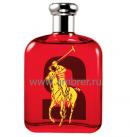 Ralph Lauren The Bic Pony Collection �2