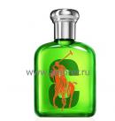 Ralph Lauren The Bic Pony Collection №3