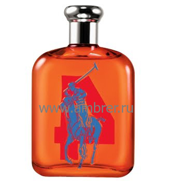 Ralph Lauren The Bic Pony Collection 4