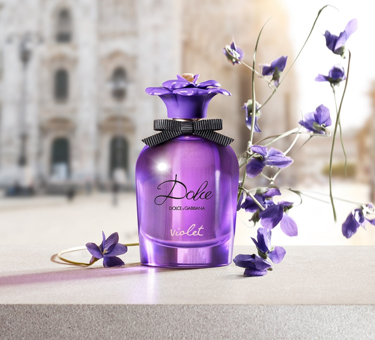 Dolce Violet