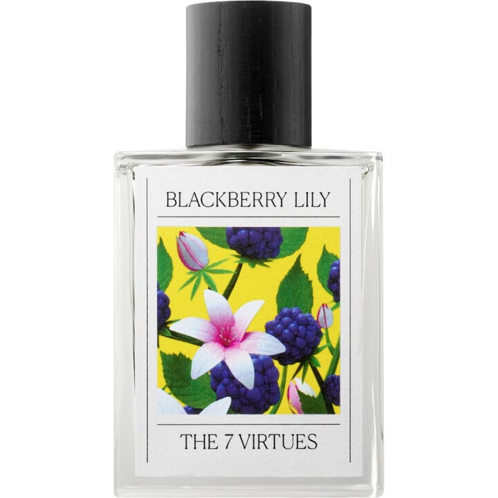 The 7 Virtues Blackberry Lily