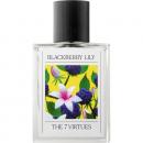 The 7 Virtues Blackberry Lily