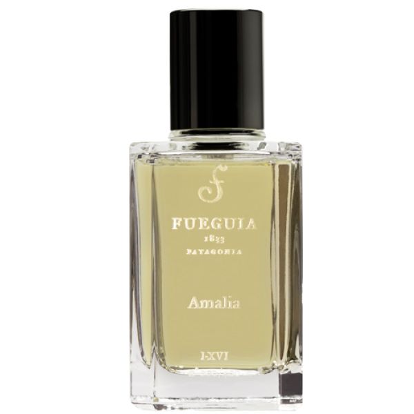 Fueguia 1833 Amalia