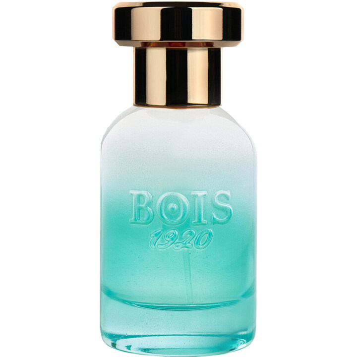Bois 1920 Marasma