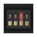 Gritti Gritti Discovery Set