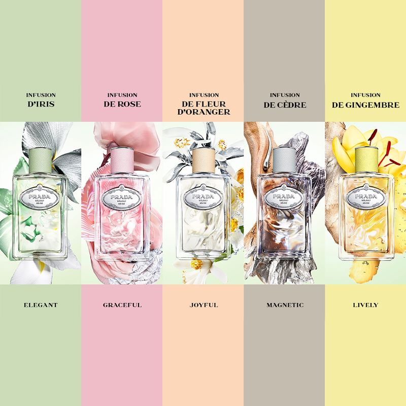 Infusion de Gingembre