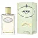 Prada Infusion de Gingembre