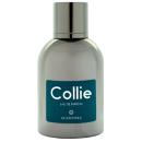 Bruno Acampora Collie