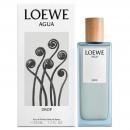 Loewe Agua Drop