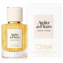Chloe Cedrus Intense