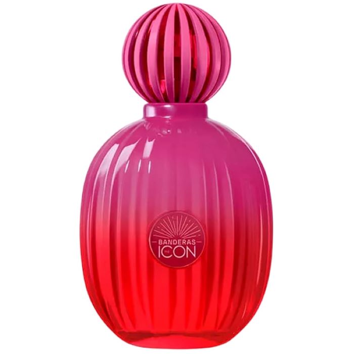 The Icon Supreme for Women