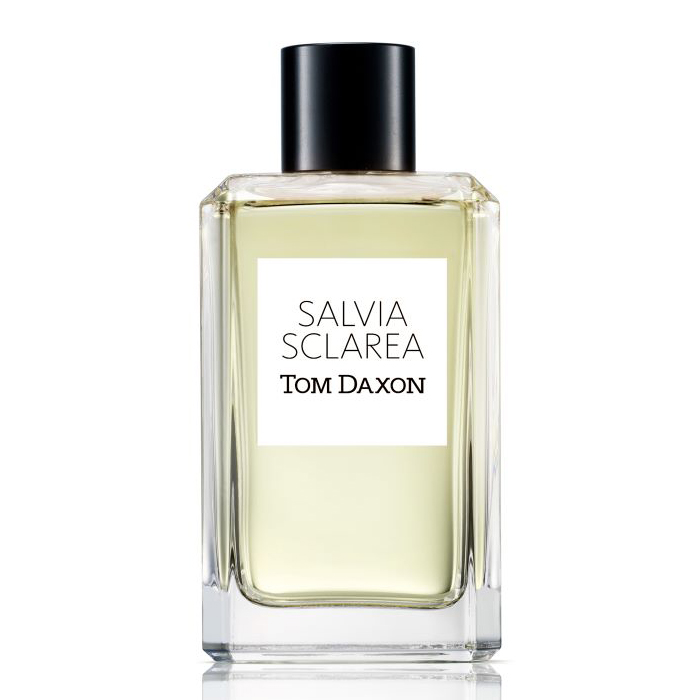Tom Daxon Salvia Sclarea