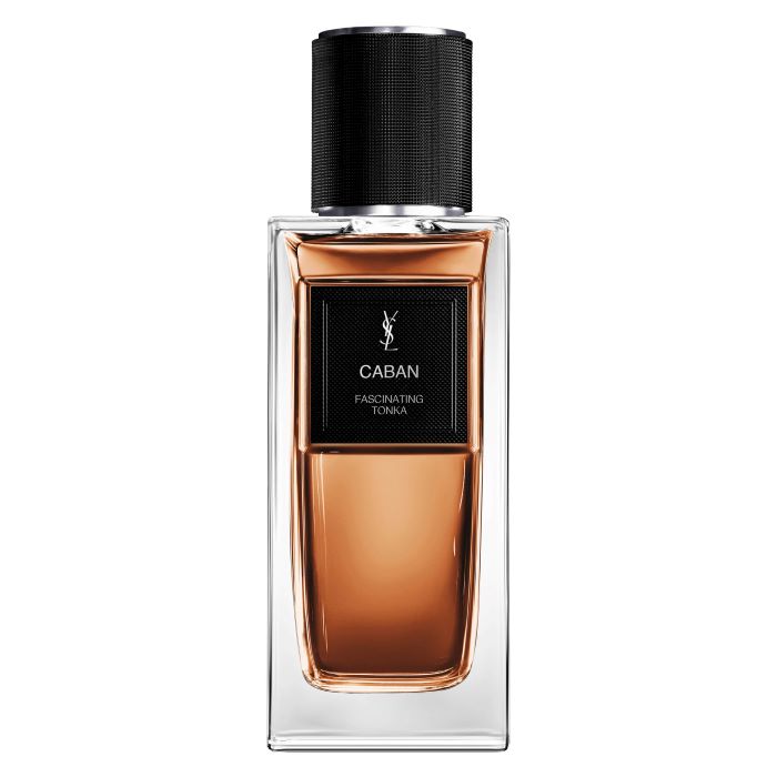 YSL Caban Fascinating Tonka