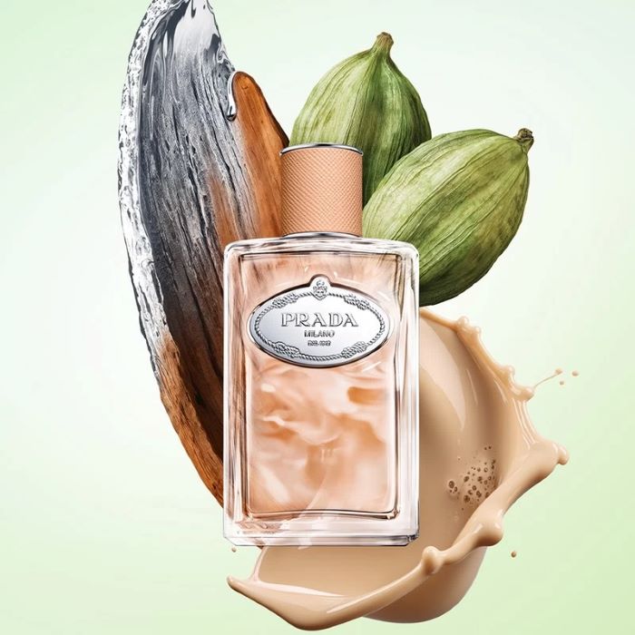 Infusion de Santal Chai