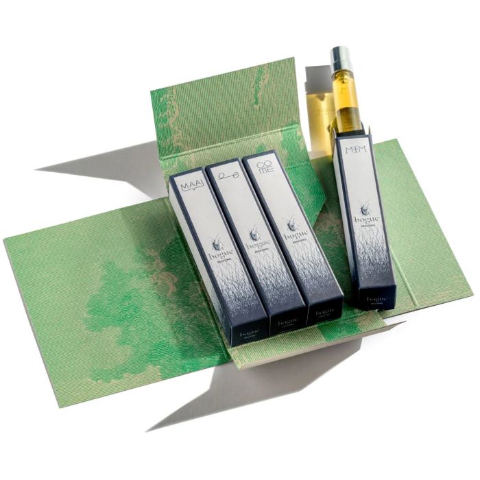 Bogue Bogue Discovery Set